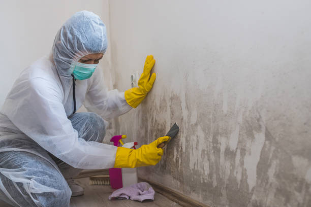 Best Crawl Space Mold Removal  in Urbana, OH