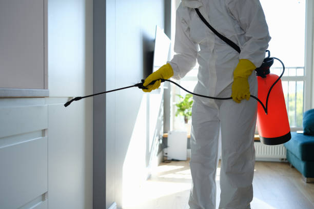 Professional Mold Removal in Urbana, OH