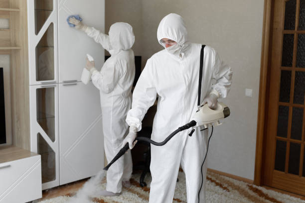 Best Mold Damage Repair  in Urbana, OH