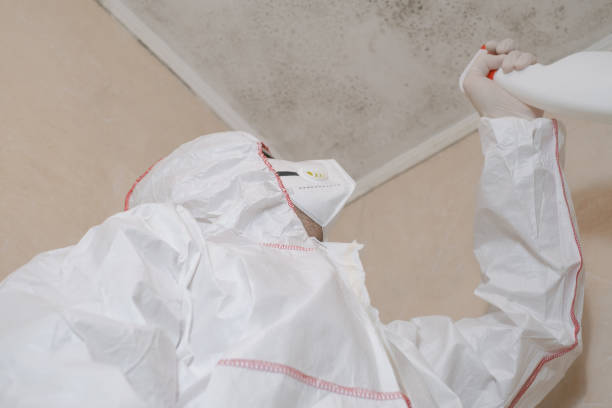 Best Toxic Mold Removal  in Urbana, OH